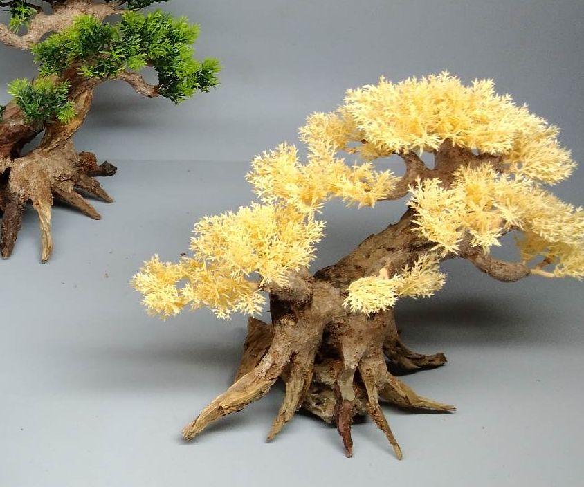 Cây gỗ lũa bonsai tán Tùng 2 thân cho hồ cá cảnh (có 4 màu: Xanh, Đỏ, Cam, Kem)