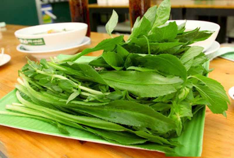 Hạt giống Mùi tàu (Ngò gai, Răng cưa) 5 gram