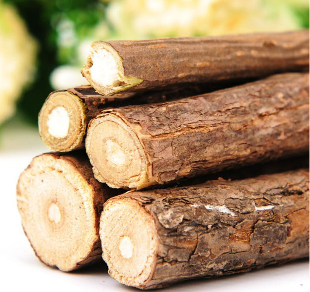 QUE GẶM CATNIP CHO MÈO GẶM SẠCH RĂNG VÀ XÃ STRESS