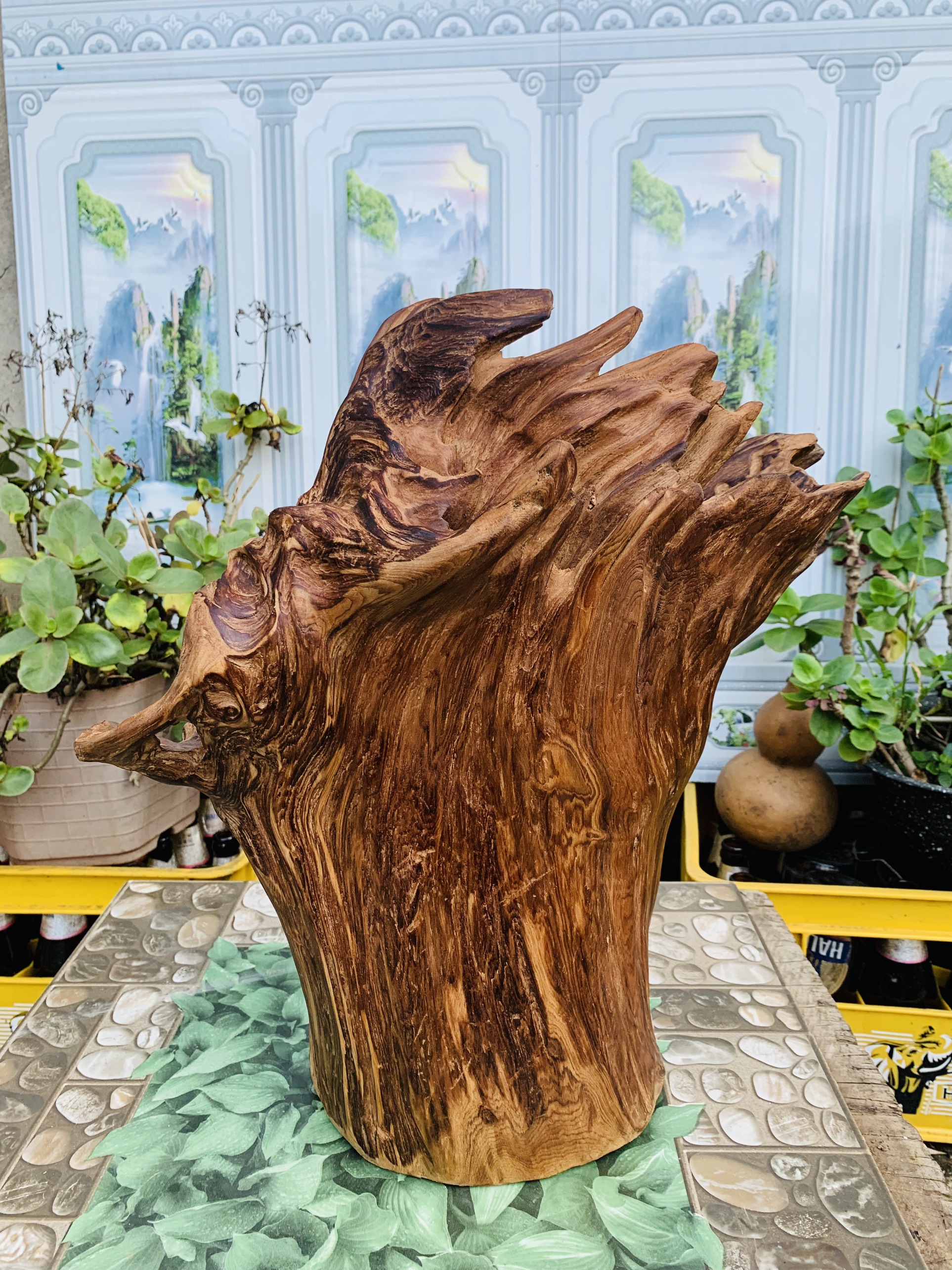 lũa gỗ thơm ngọc am đỏ hà giang