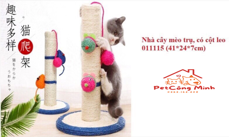 Cat scratch board posts