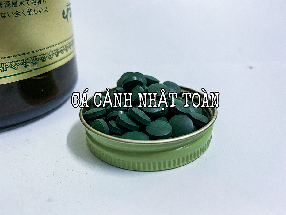 "Hoàn tiền đến 10%" TẢO VIÊN NHẬT BẢN CHO CÁ VÀ NUÔI ARTERMIA