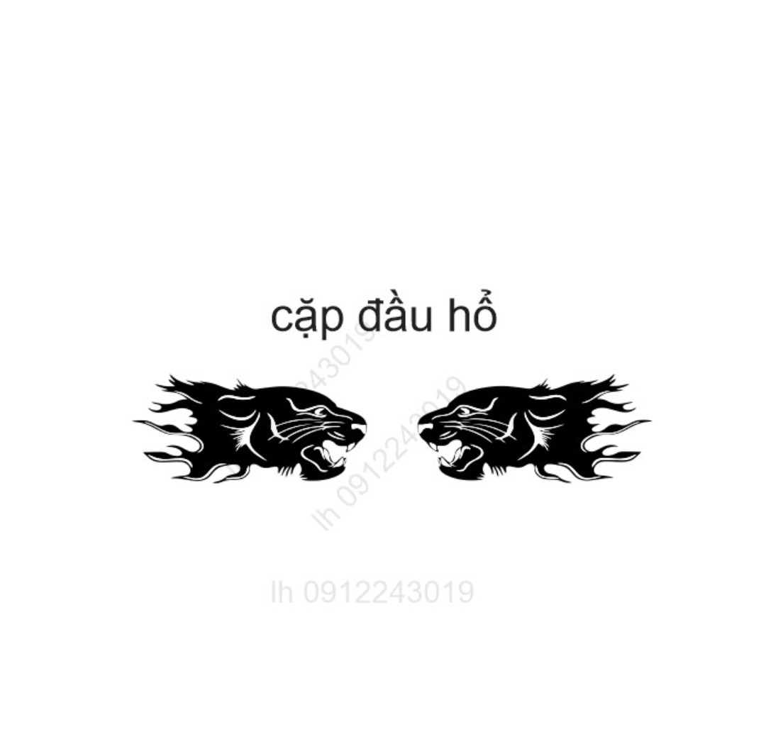 Combo bộ tem dán hai bên cửa xe howo A7