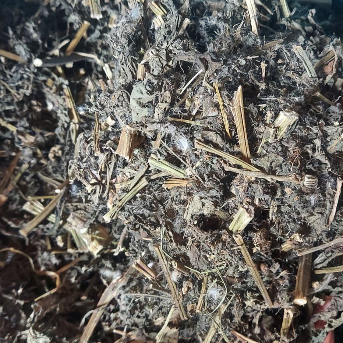 Cây hoa cứt lợn tím (cây ngũ sắc, cây cỏ hôi) khô tươi 1kg