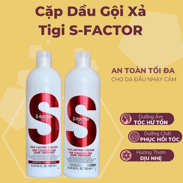 Cặp 2 chai gội xả x 750ml - myphamthienduc