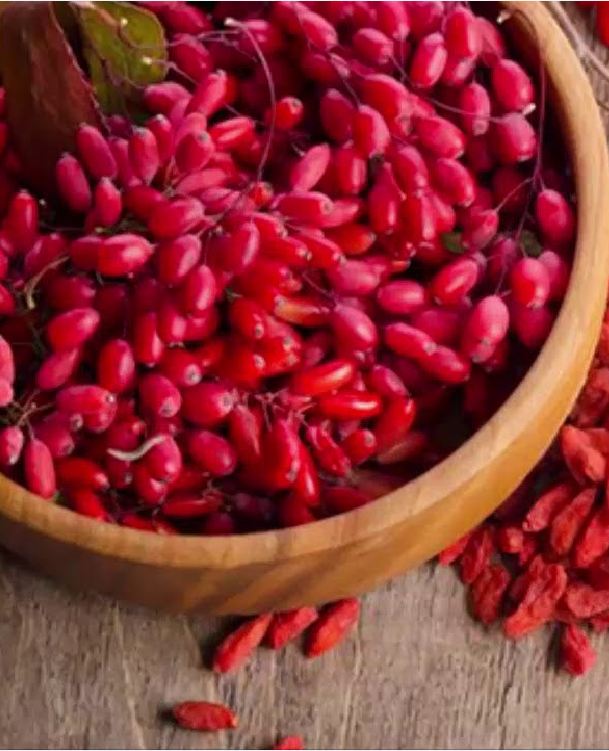 Hạt giống câu kỷ tử  ( cây dược liệu ) 50 Hạt - VTNT