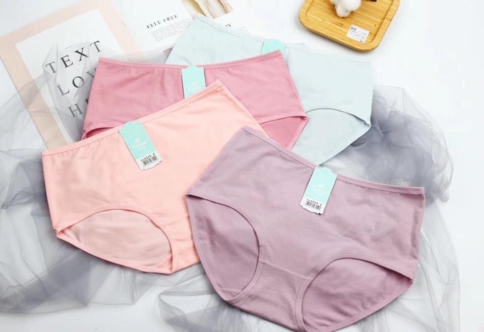 (ẢNH CHỤP THẬT) COMBO 5 QUẦN LÓT COTTON SIZE LỚN ĐẾN 70KG