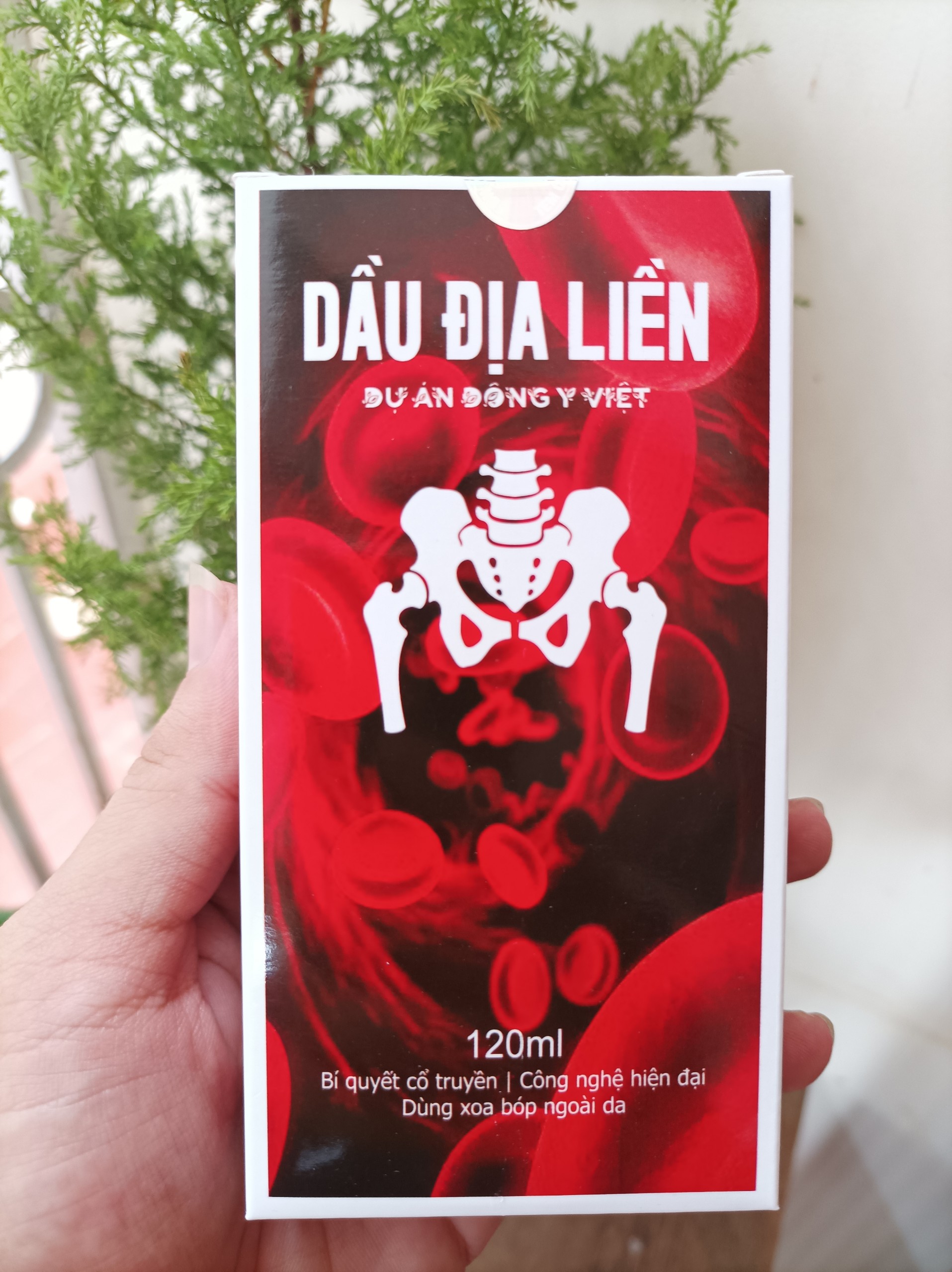 Dầu xoa bóp - Dầu địa liền