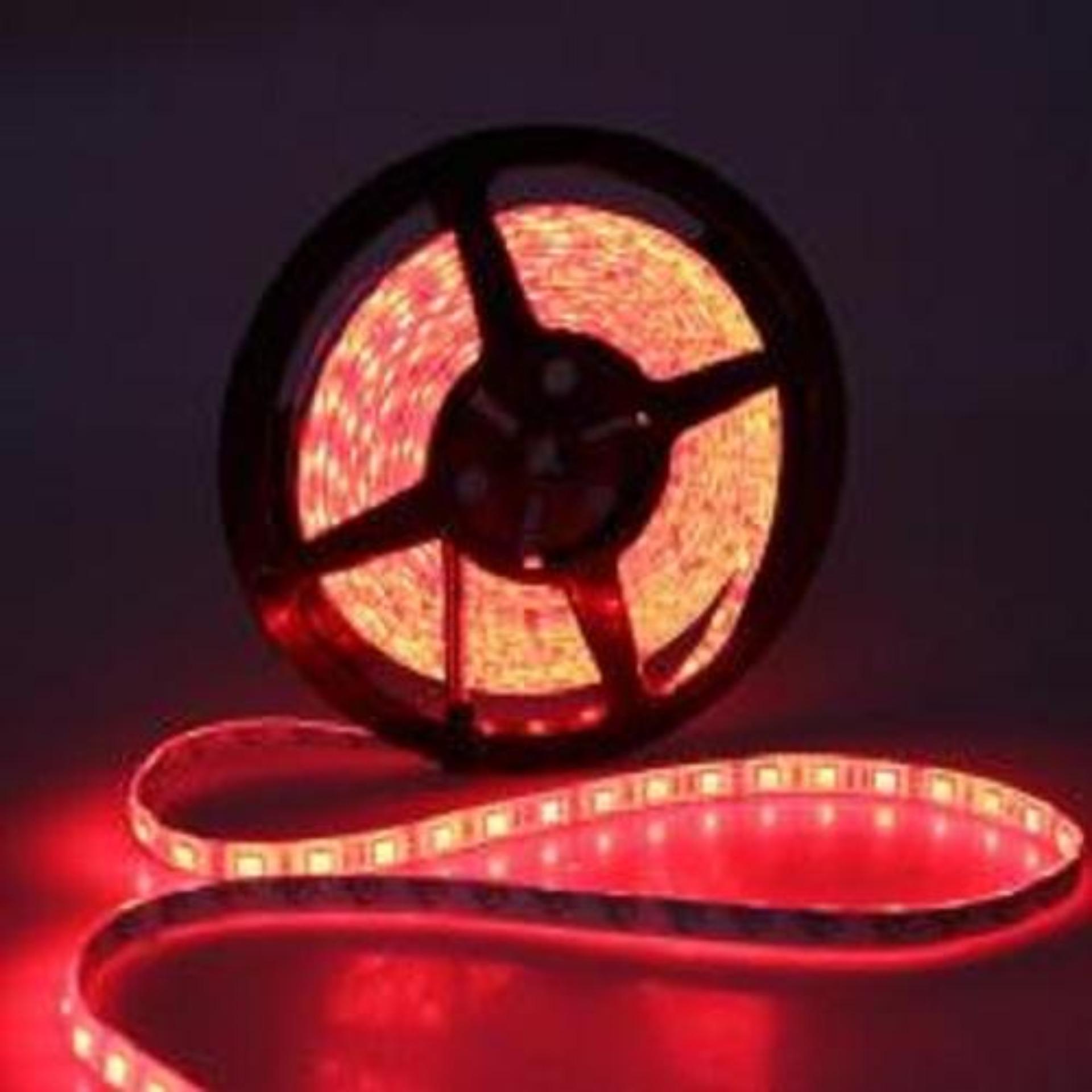 Cuộn Led dây dán 5m 5050 12v có keo