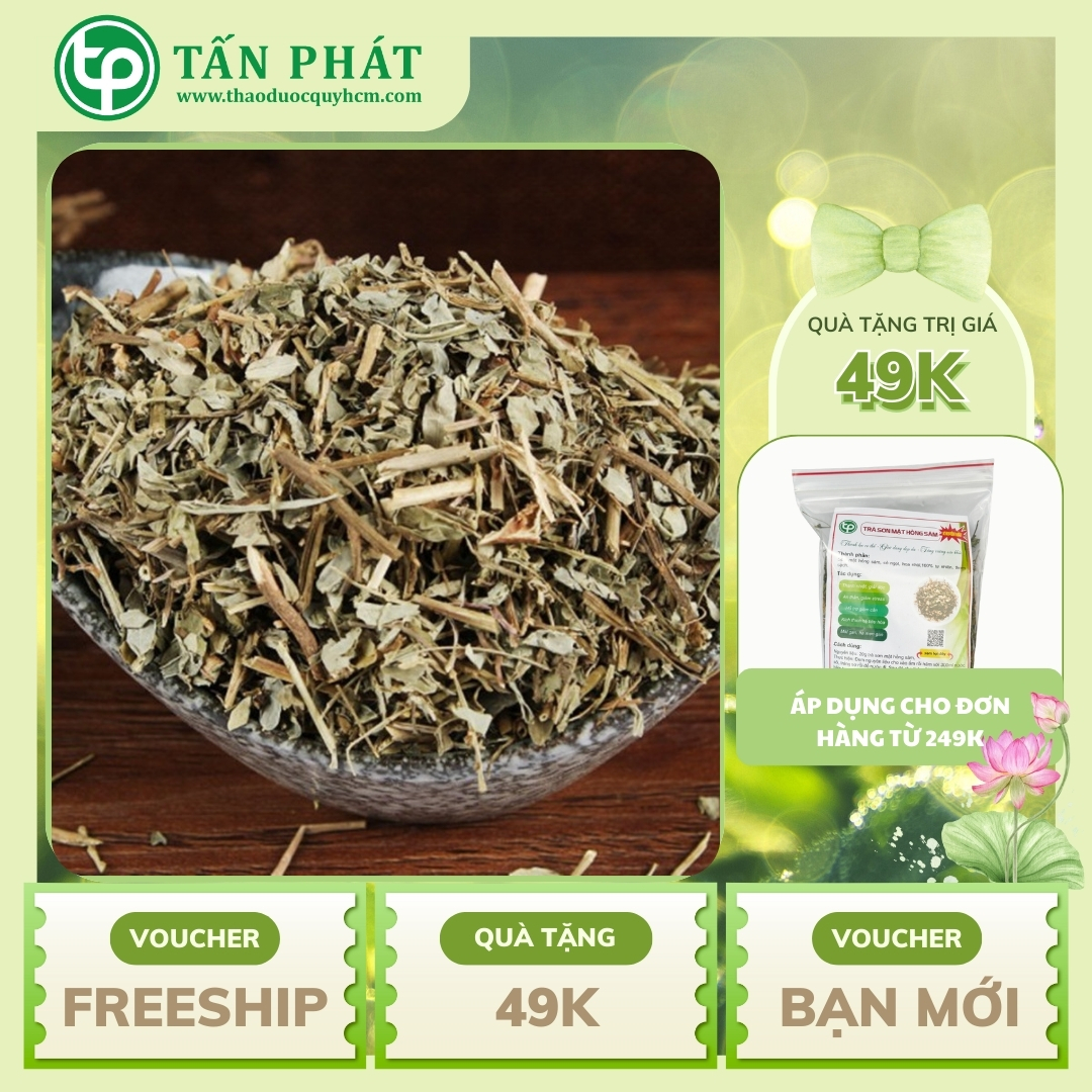 Diệp hạ châu đắng sấy khô 1kg - Hàng công ty chất lượng cao - Hỗ trợ thanh nhiệt và điều hòa cơ thể - Thảo Dược Tấn Phát