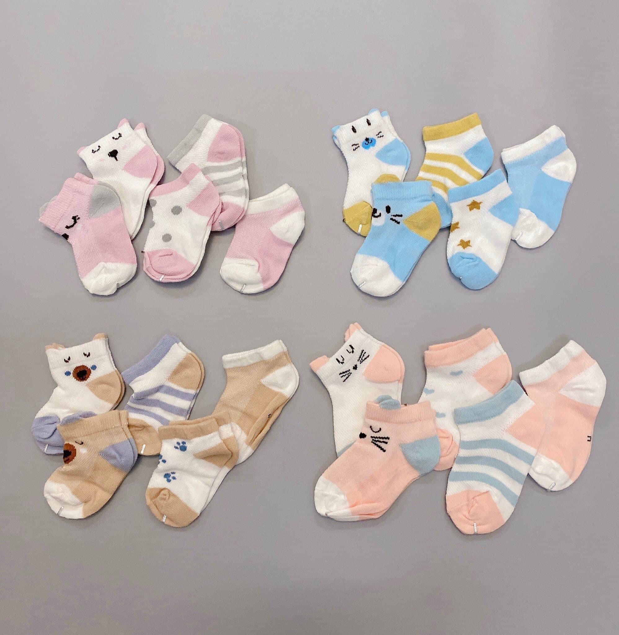 Sét 5 đôi tất lưới cổ thấp Kids Socks