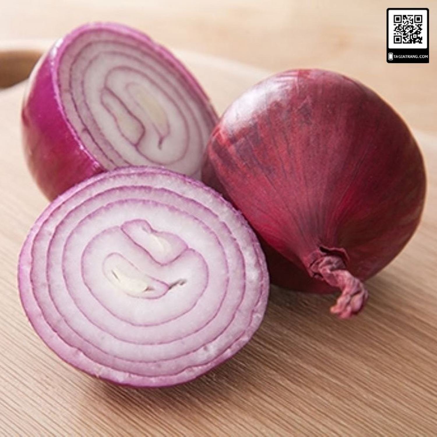 Ma35d gói hạt giống hành tây đỏ salad red 027 - gói 50 hạt