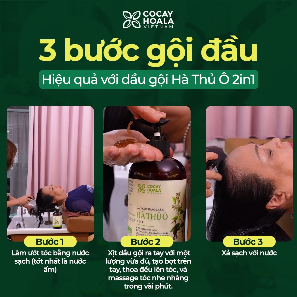 DẦU GỘI THẢO DƯỢC HÀ THỦ Ô (dược liệu thiên nhiên)