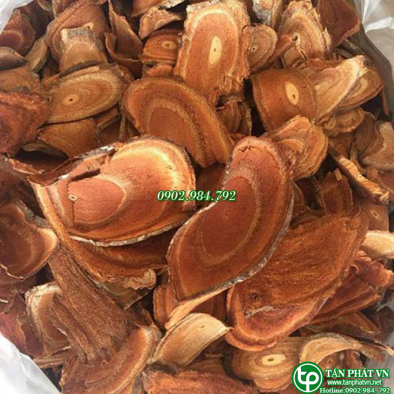 Cỏ máu khô 500g - Thảo Dược Tấn Phát