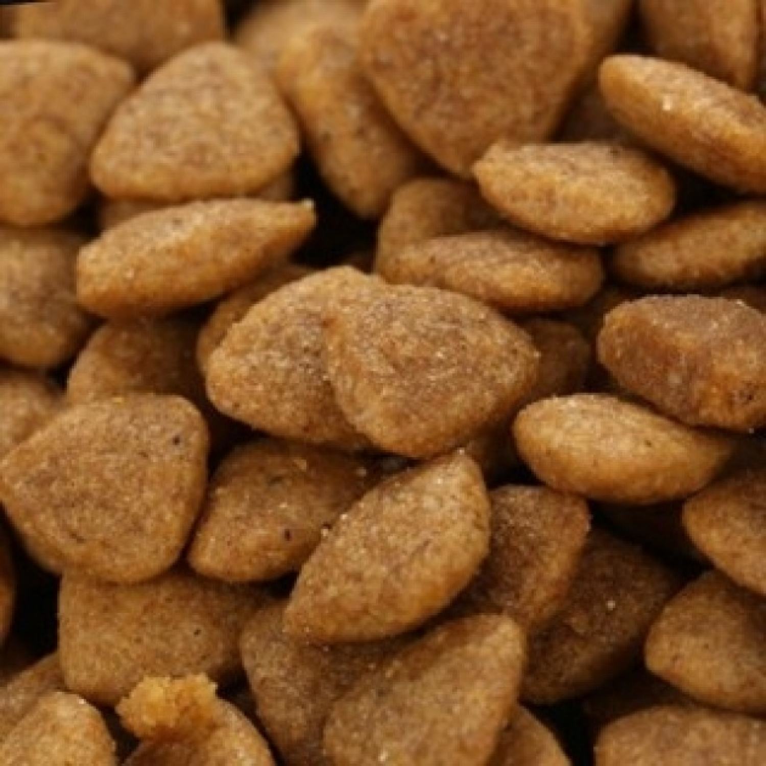 Thức ăn cho mèo catsrang 5kg cho mọi lứa tuổi.