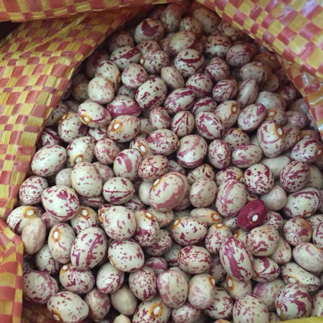 1kg ĐẬU CÚC ĐÀ LẠT