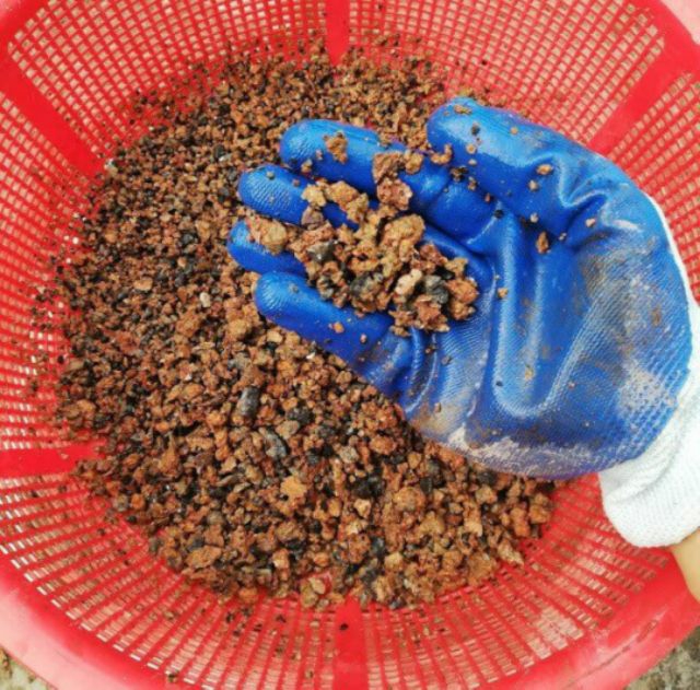 500g XỈ THAN đã xử lý (dùng để trộn đất trồng cây)