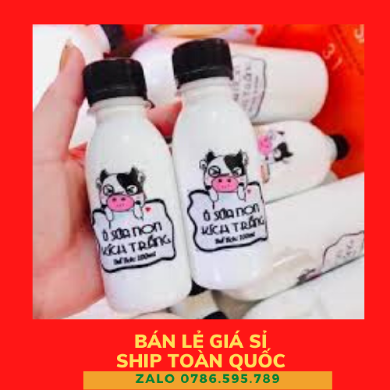combo 5 ủ sữa non kích trắng con bò