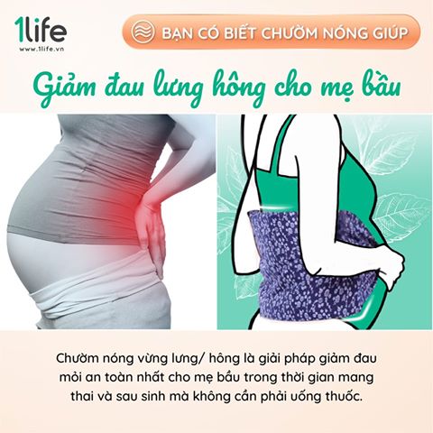 [FOLLOW1LIFE] Gối Thảo Mộc 1LIFE Chườm Lưng Bụng