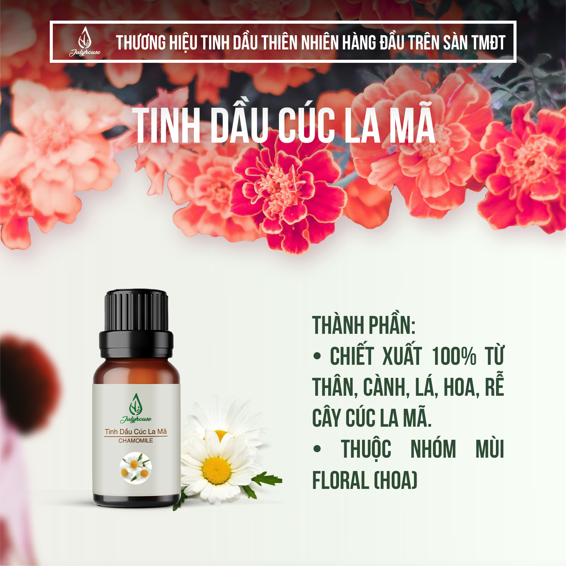 Tinh dầu Cúc La Mã 50ml Julyhouse