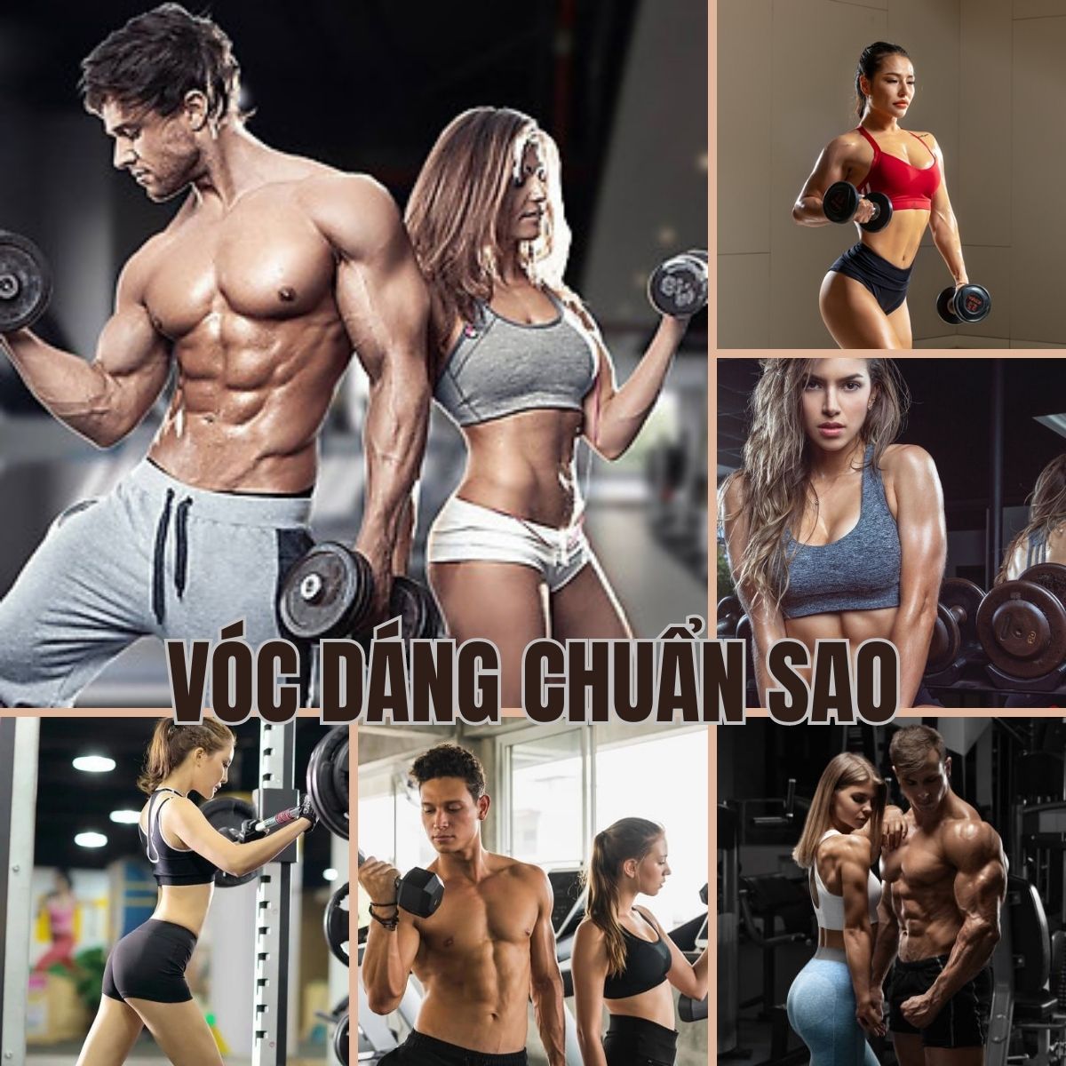 Tạ tay Brosman 8 Kg