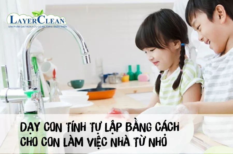 Nước rửa chén bát hữu cơ Layer Clean hương Quế chai 800ml