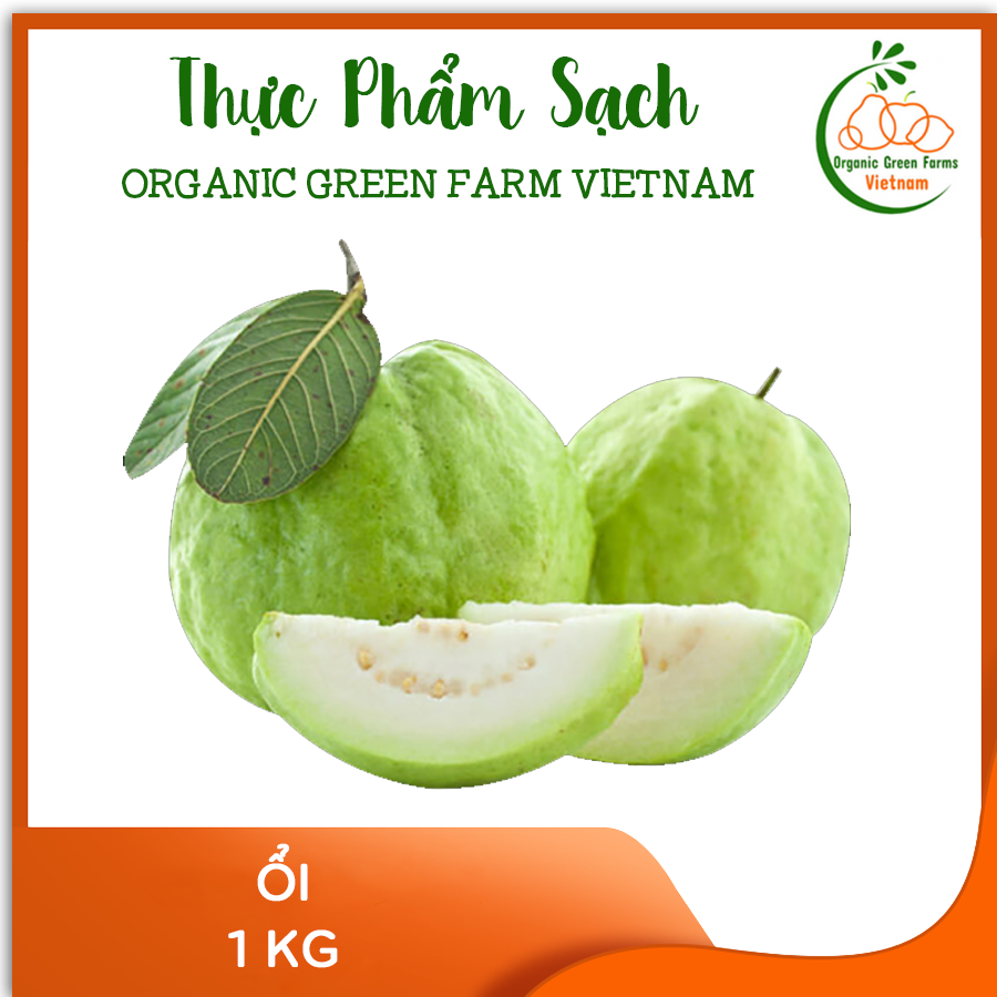 OGF - Ổi nguyên trái 1kg - Giòn, thơm ngon, ngọt - Giao nhanh TPHCM