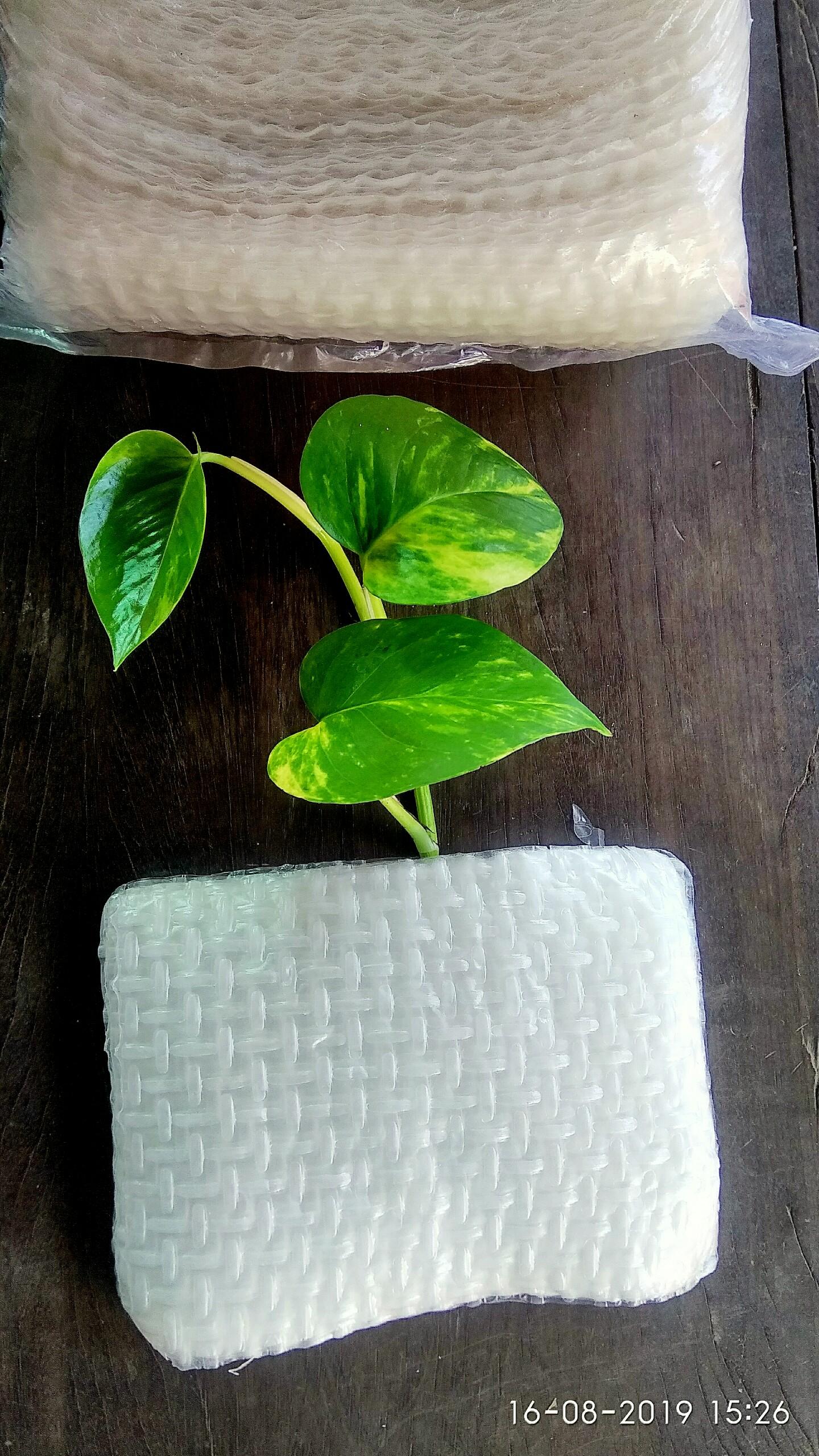 Bánh tráng siêu mỏng Tây Ninh (1kg)