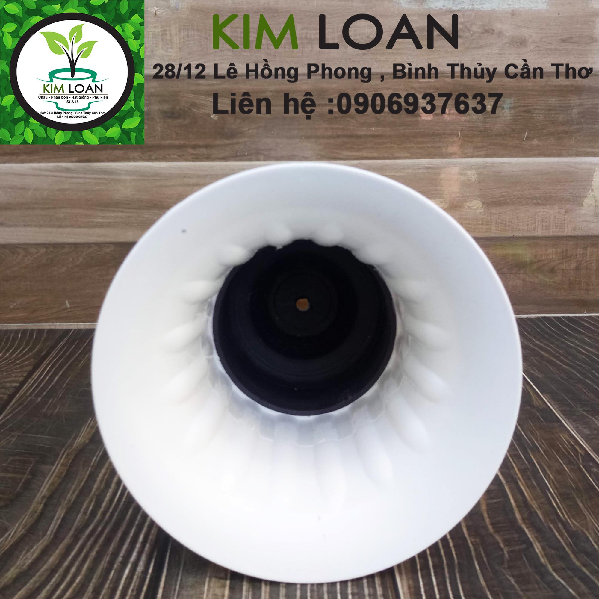Chậu nhựa ly cúp đế vuông 20x30cm