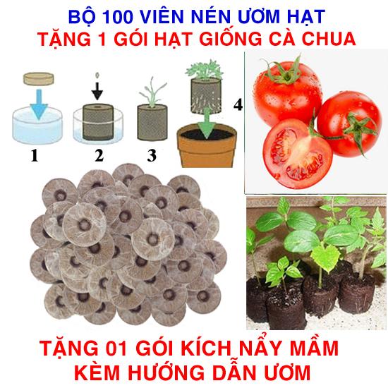 Bộ 100 viên nén ươm hạt (tặng 1g Hạt giống Cà chua đỏ + Kích thích nẩy mầm, Hướng dẫn)