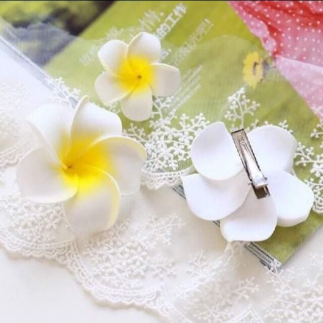 sét kẹp hoa sứ (đại )