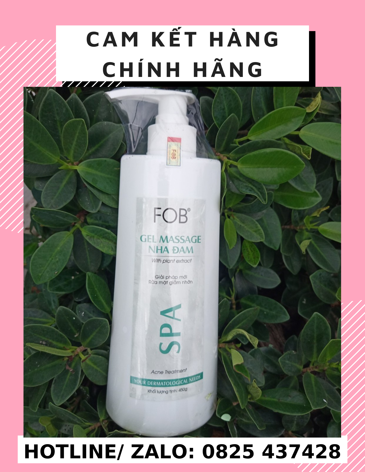 Gel nha đam FOB 450g