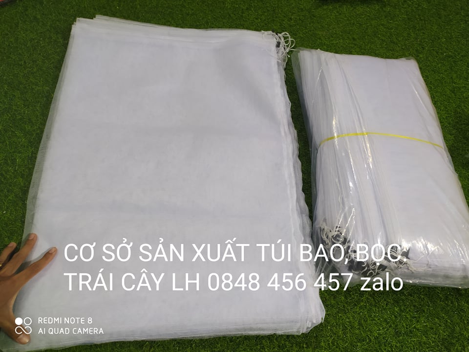 50 CÁI TÚI BAO ,BỌC MÍT THÁI KÍCH THƯỚC 50*70