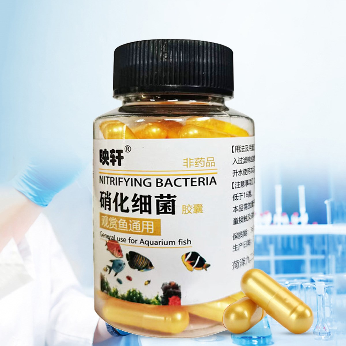 Vi Khuẩn Nitrat Hóa Cho Bể Cá Cảnh , Bể Thủy Sinh