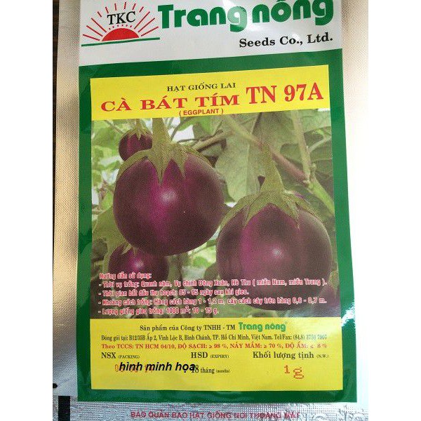 1G - Hạt Giống Cà Bát Tím