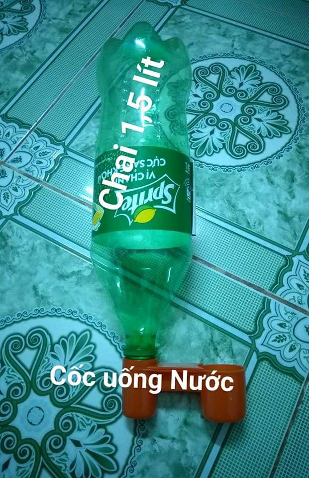 10 uống nước tự động cho gà