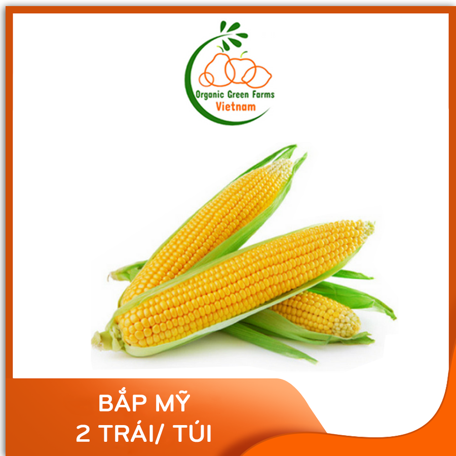 [OGF] - Bắp Mỹ (2 trái/túi) - [Giao nhanh TPHCM]