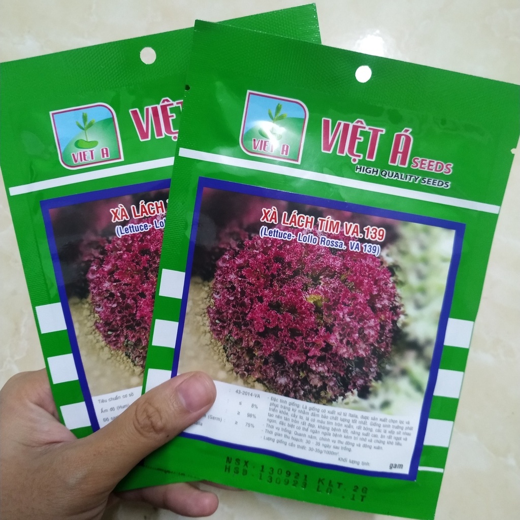 Hạt Giống Xà Lách Tím Lollo Rossa