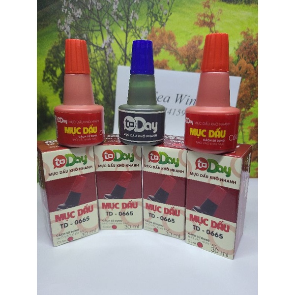 Mực Dấu Today - Mực Đổ Dấu 30 Ml / Lọ