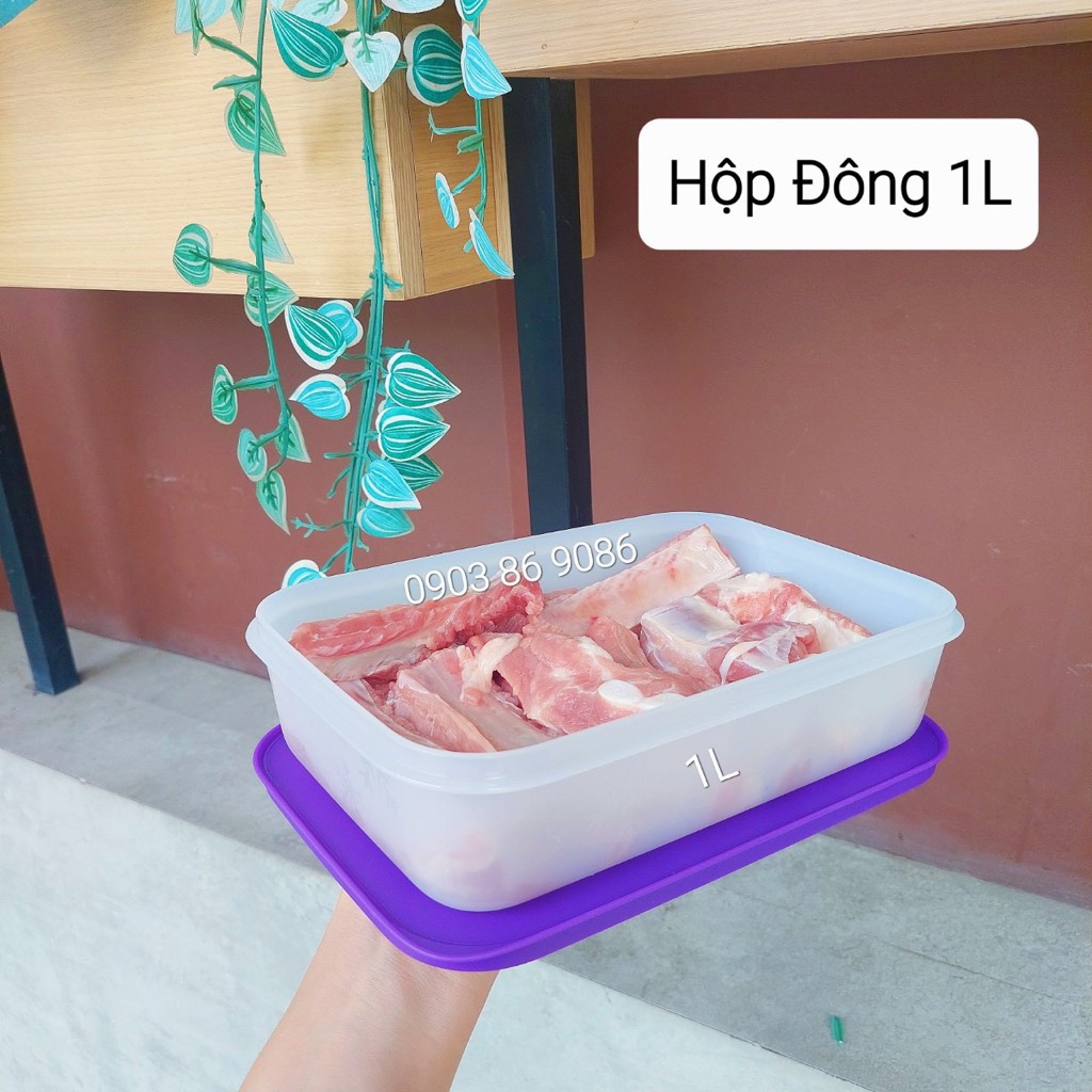 Set 2 hộp trữ đông Tupperware Violet 1L