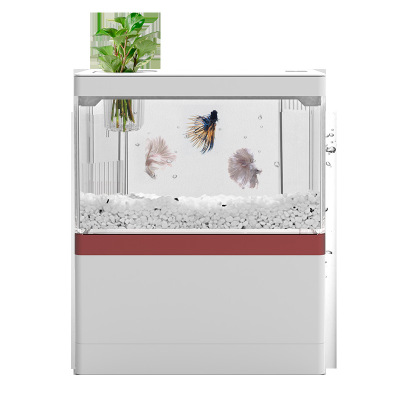 Bể cá thủy sinh mini trang trí bàn làm việc