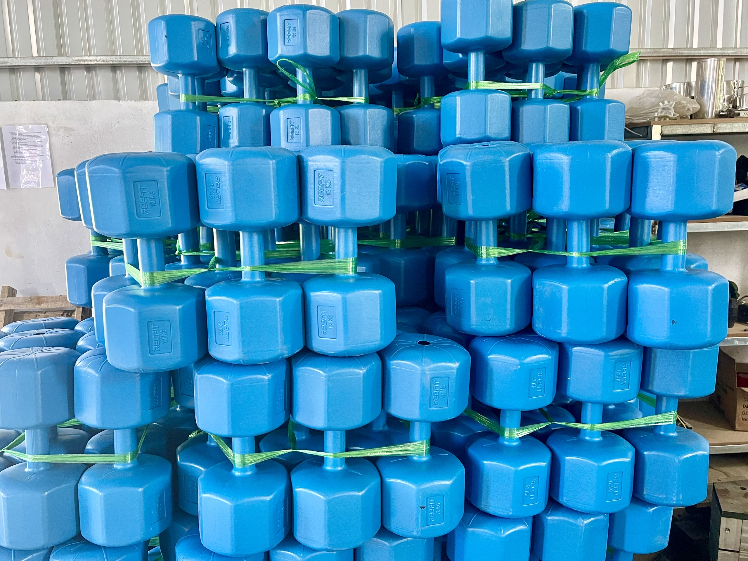 Tạ tay nhựa Reefit Sport 1kg (1 tạ)