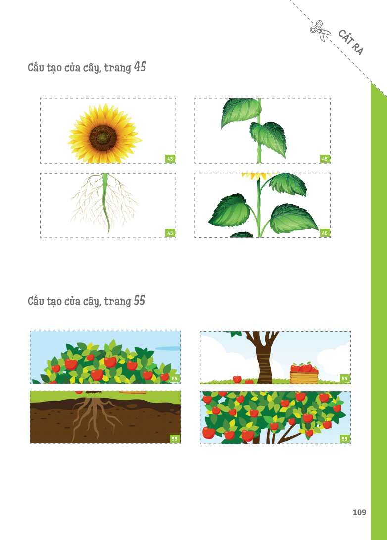 Cuốn sổ lớn Montessori về khám phá the gioi (bìa mềm)