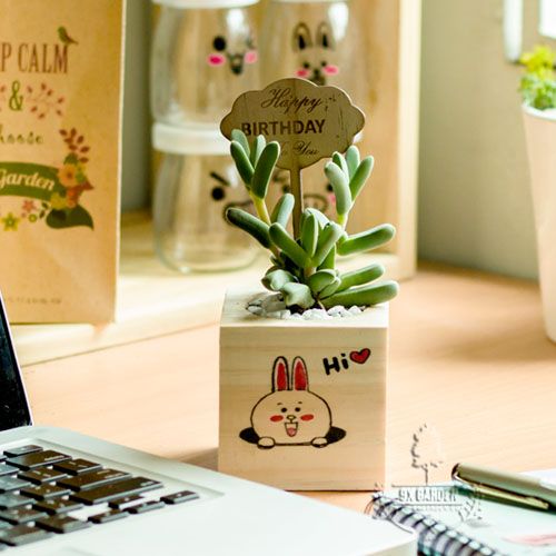 Hộp gỗ trồng cây sen đá tự nhiên