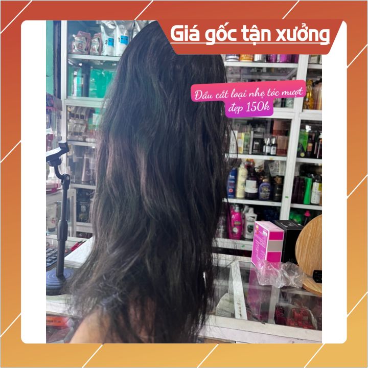 Đầu Ken Đầu Manocanh học cắt tóc tạo kiểu tóc  Shopee Việt Nam