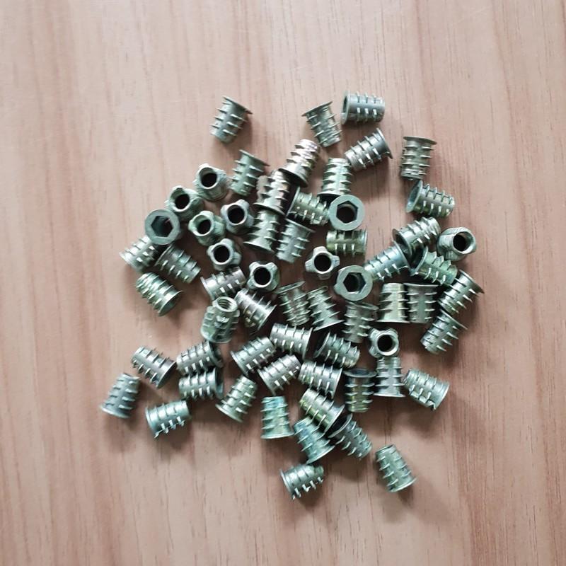 Túi ốc cấy gỗ phi 6 - 100 con