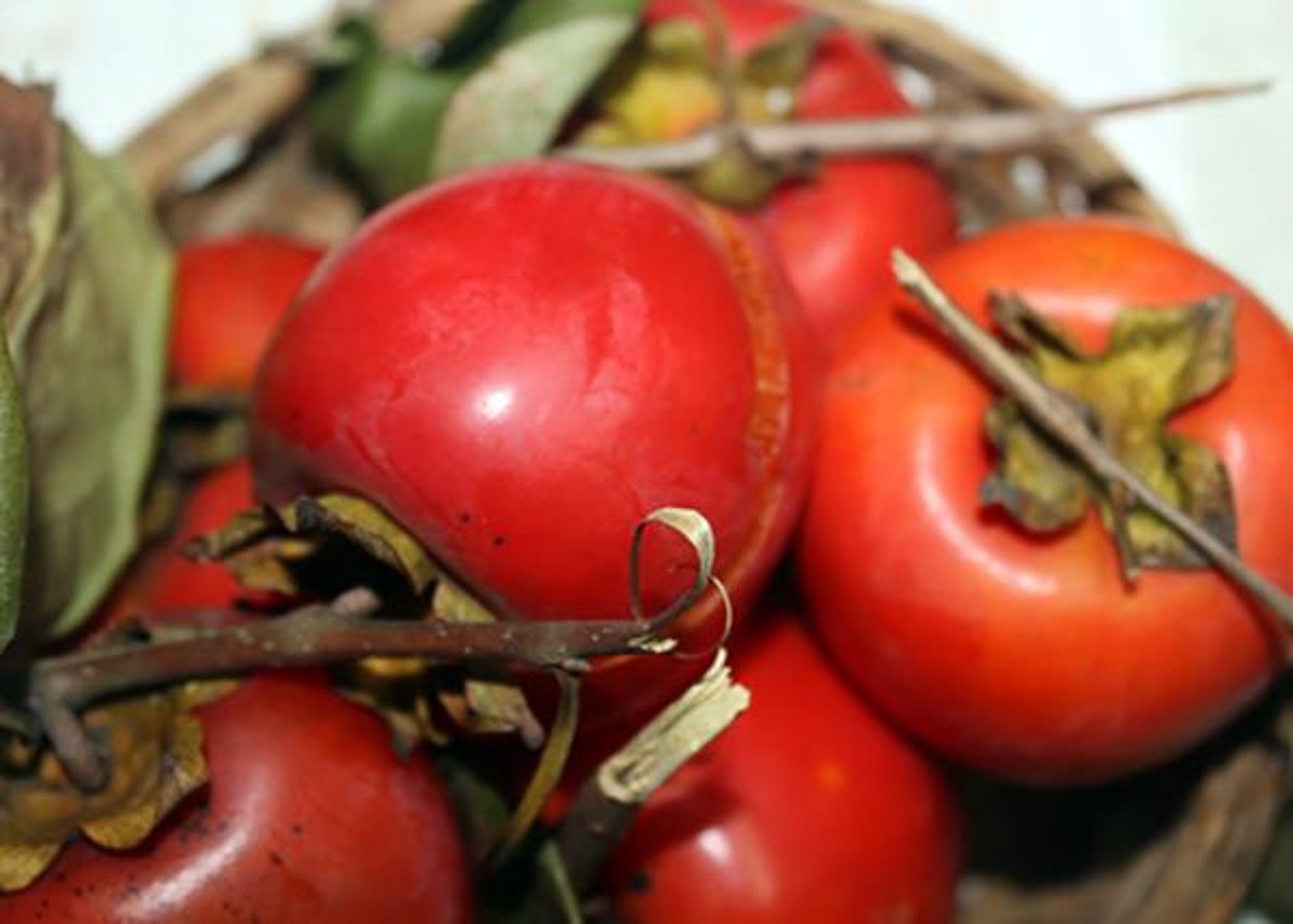 Cây Hồng đỏ( quả hồng màu đỏ)