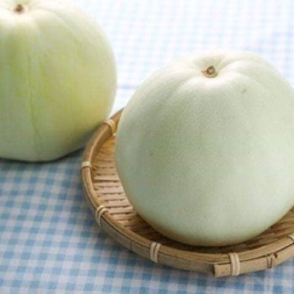 Hạt giống dưa lê trắng siêu ngọt