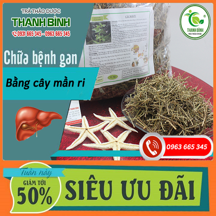 Cây mần ri khô 500g hàng cty chất lượng - dược liệu thanh bình