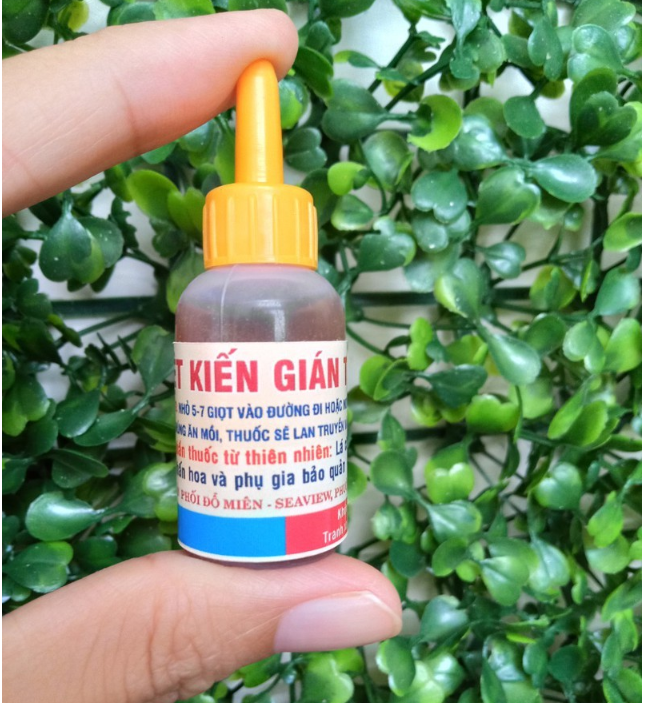 Combo 3 Lọ Thuốc Diệt Kiến Gián Sinh Học Cực Tốt